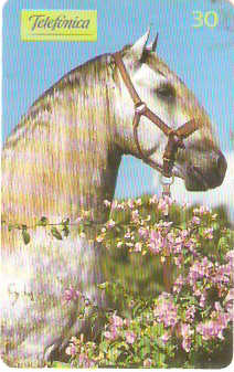 SP-0196 - Andaluz é Beleza